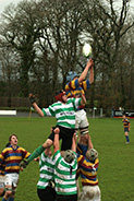 Rugby. A gentlemans game. It´s all about the balls