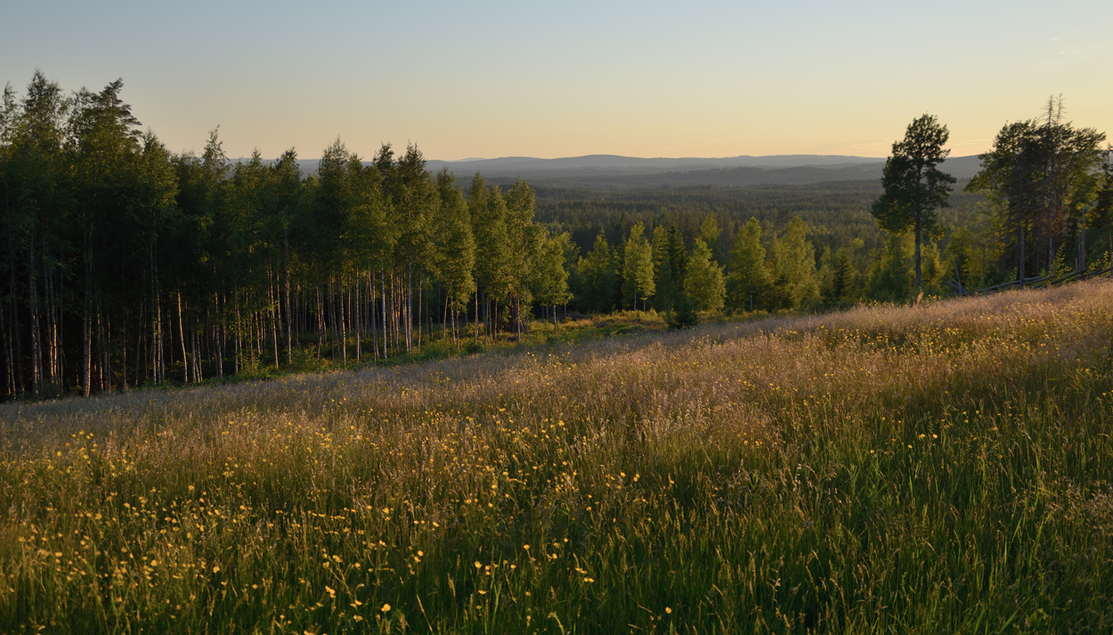 Dalavy från vålberget i Västerdalarna