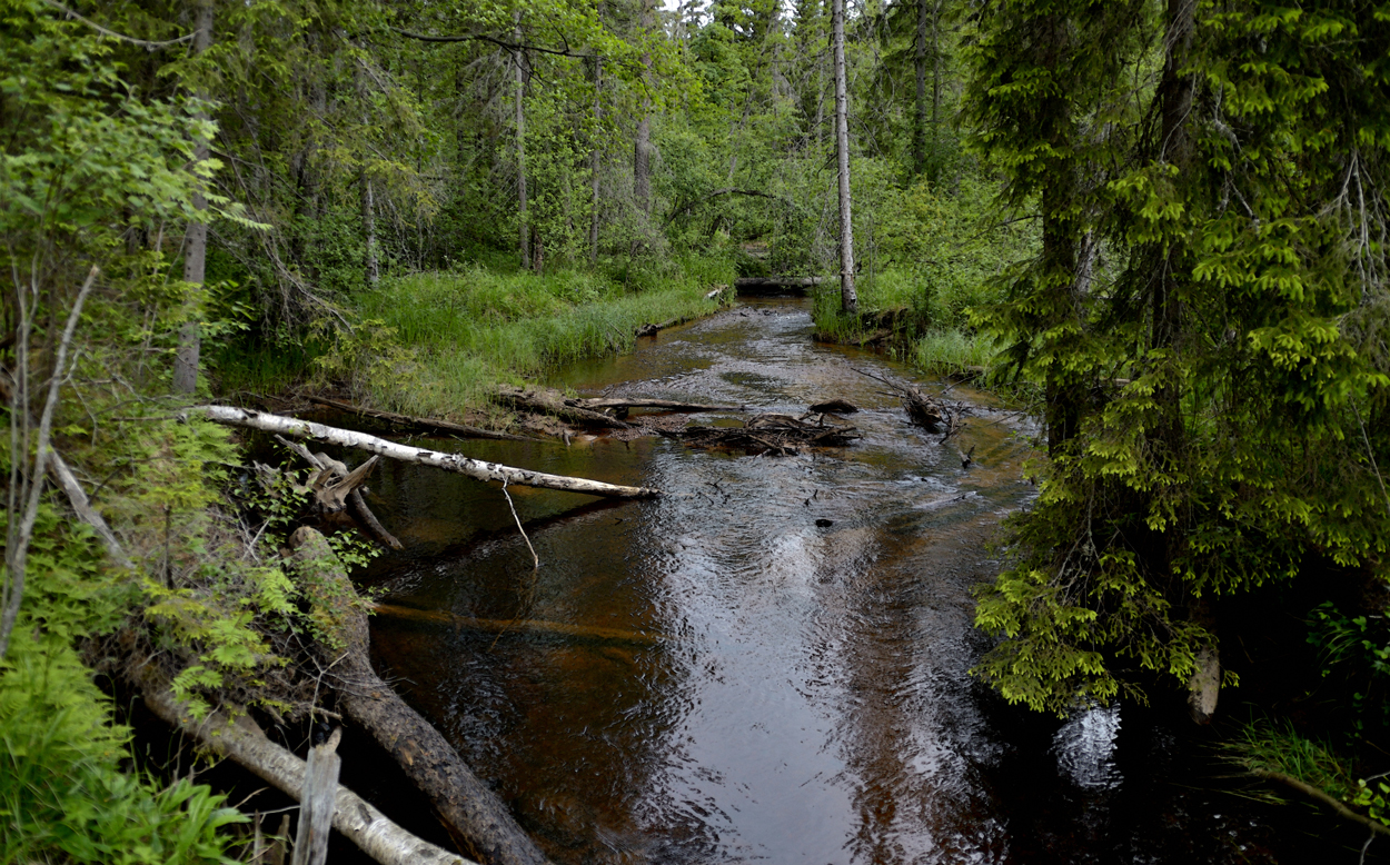 Naturreservat i Bergslagen, Riddarhyttan