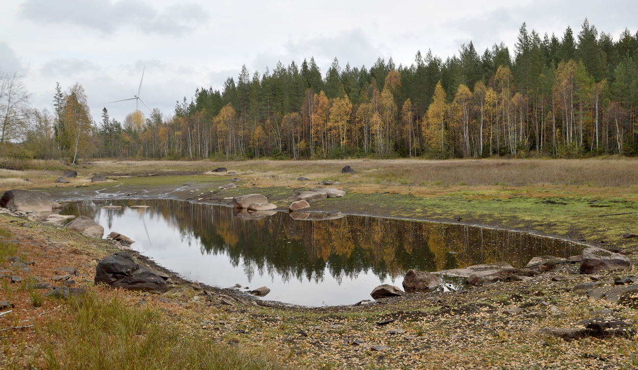 Dränerad, utsugen, torkad och renons