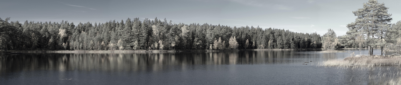 Panorama över Fjällingtjärn