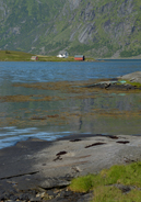 Havsvik i fjorden