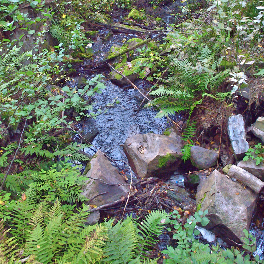 Vattenspegel i Trummelsberg