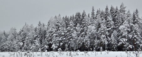 Samma snöiga surved, skitkul