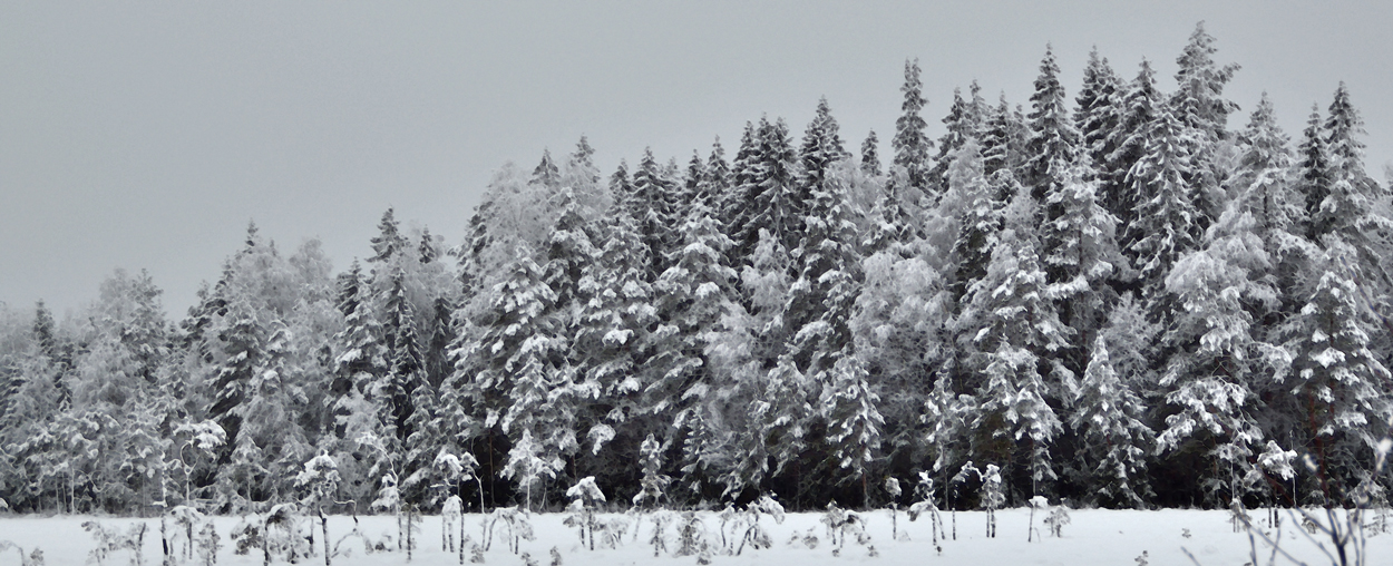 Samma snöiga surved, skitkul