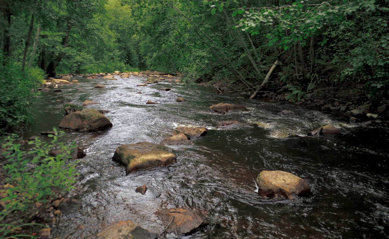 Amazon river floating through Skin Tax Mountains