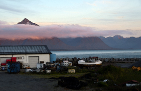 Fiske i Lofoten