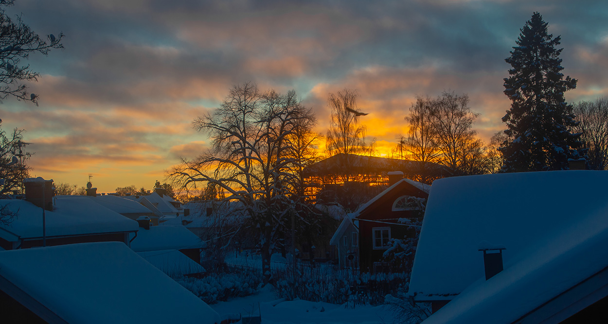 Kommunhus i motljus