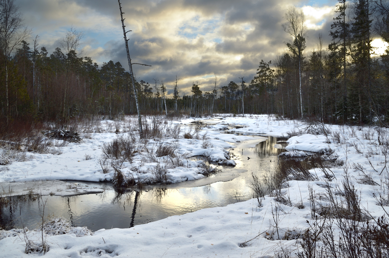 Scenvinter i motjus