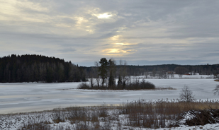 Holmskön