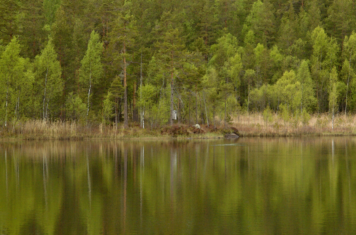 Holkvatten kan liva upp en deg. Särskilt om det är lördag.