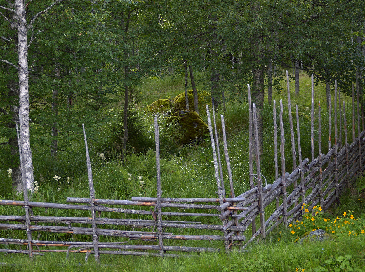 Gärdesgård i västra Dalarna