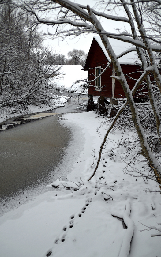 Spåri i snö