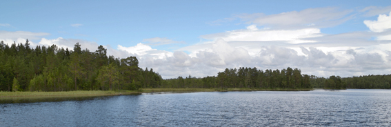 Landskap i blått och grönt