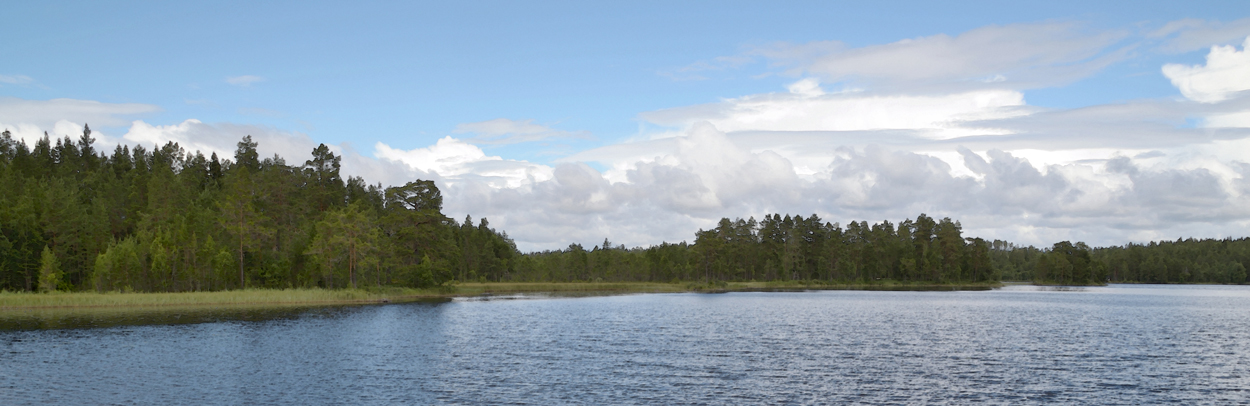 Landskap i blått och grönt