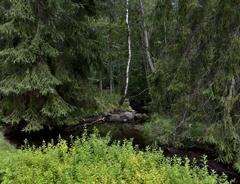 Natur vid Djäknebäcken