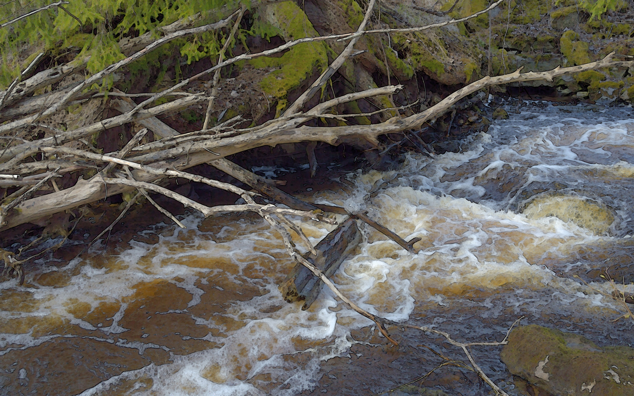 Kvistigt i Landforsens vårflod