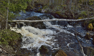 Landforsen