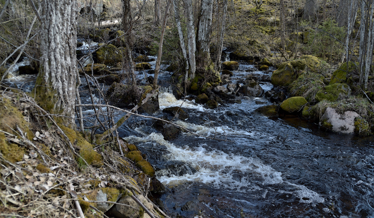 Strömkarlen i Landforsens ådal