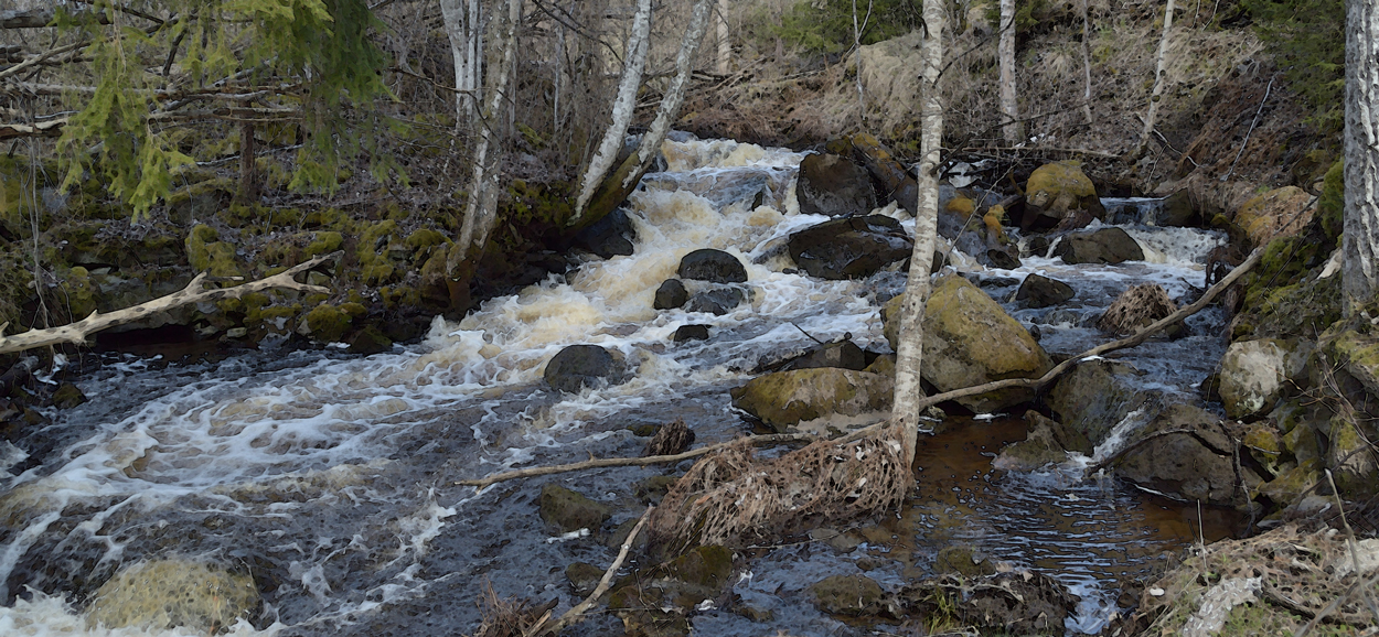 Vårflod i Landforsens ådal