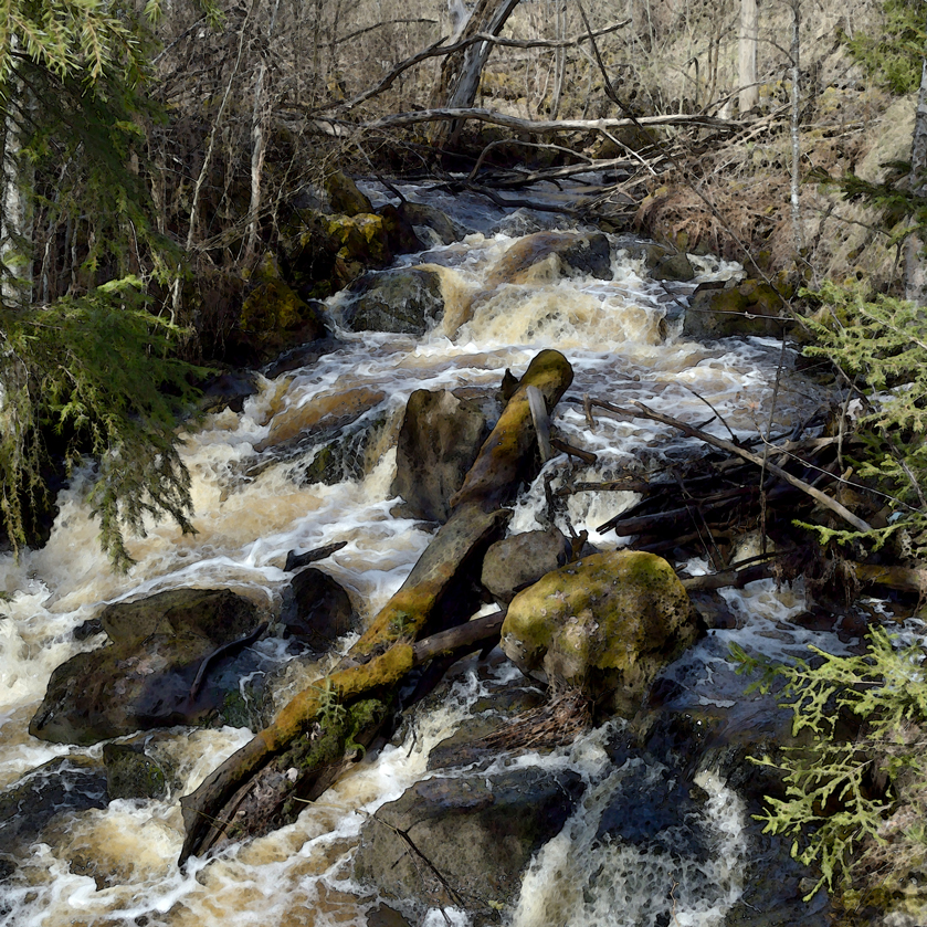 Vårvindar i Landforsens ådal