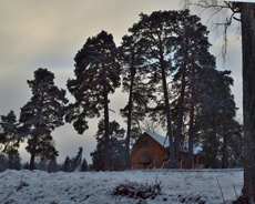 Högfors höga himmel hissnar