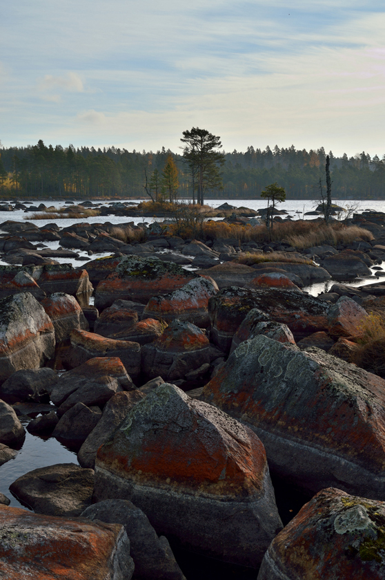 Avkrok i Bergslagen (Stensjön Norberg)