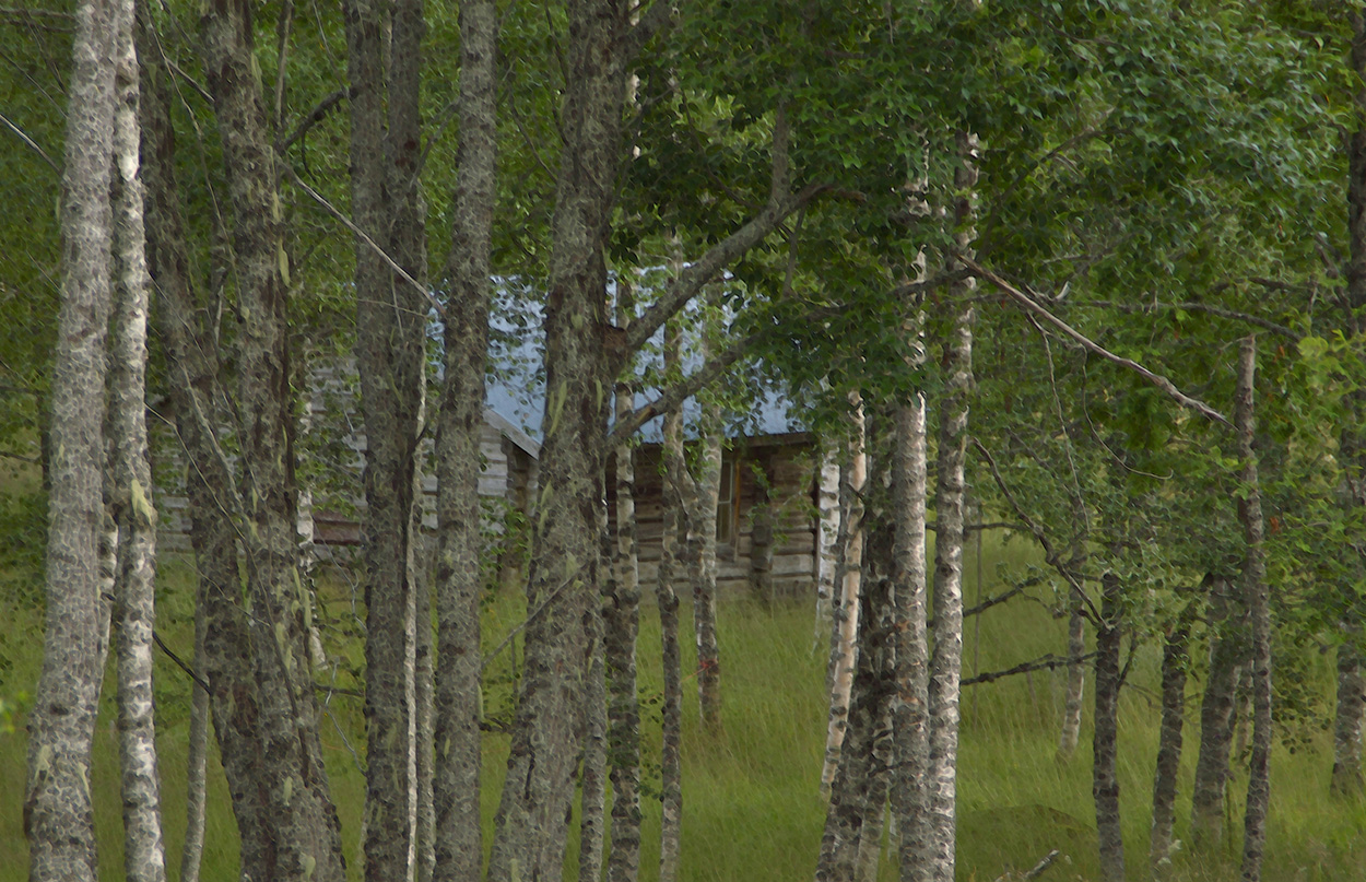 Husdröm i Dalarna