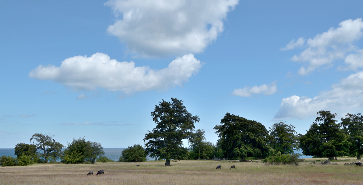 Panorama över Haväng