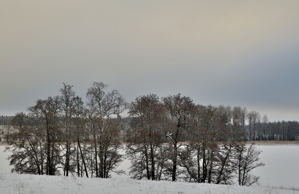 Alstrand vid Långsjöns västra del