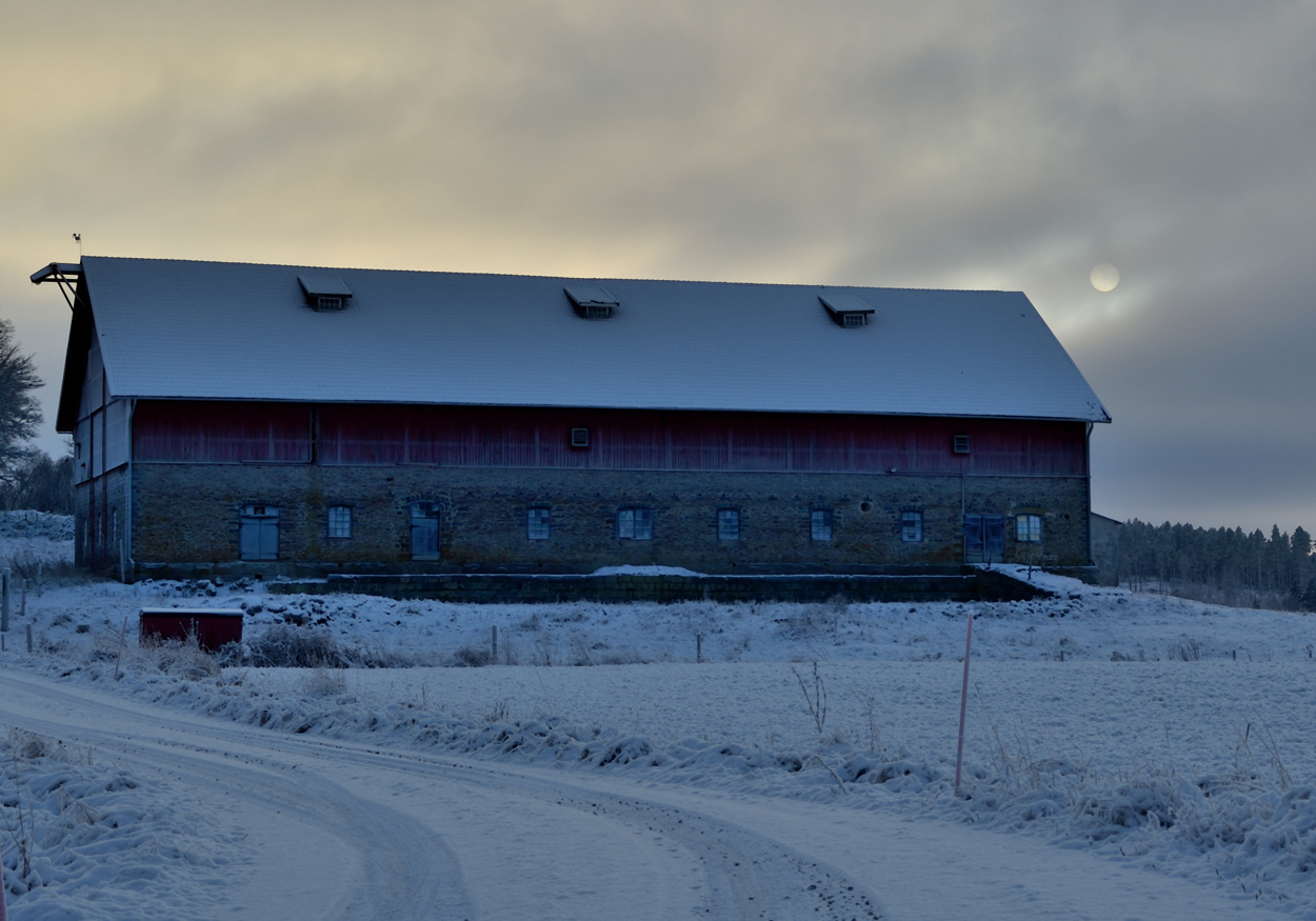 Ladugård i solljus