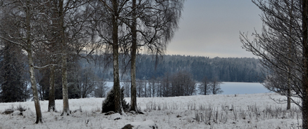 Skymning i blåton