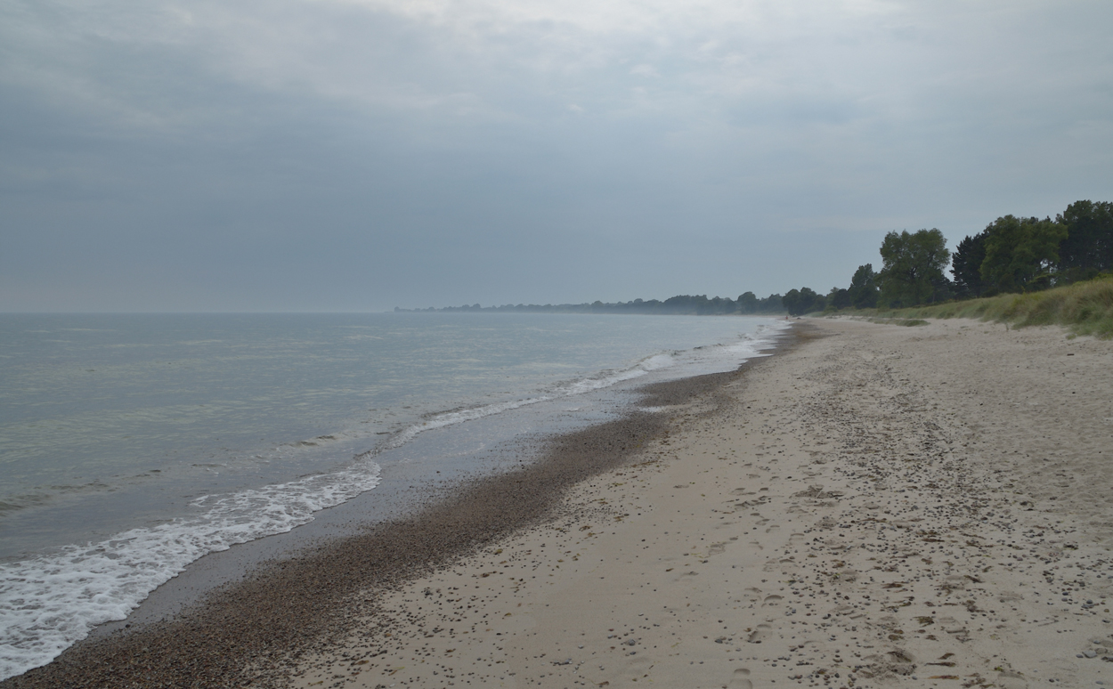 Morgondis på en strand i Österlen