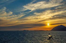 Daffy i solnedgång vid Lofoten