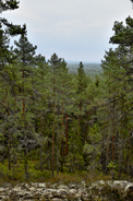 Gåsmyrberget norra Västmanland