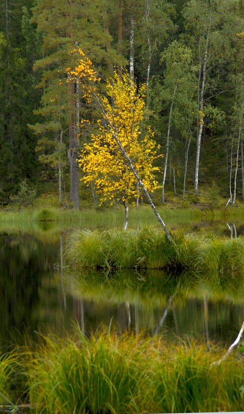 NaturbildStora Kedjen Trummelsberg