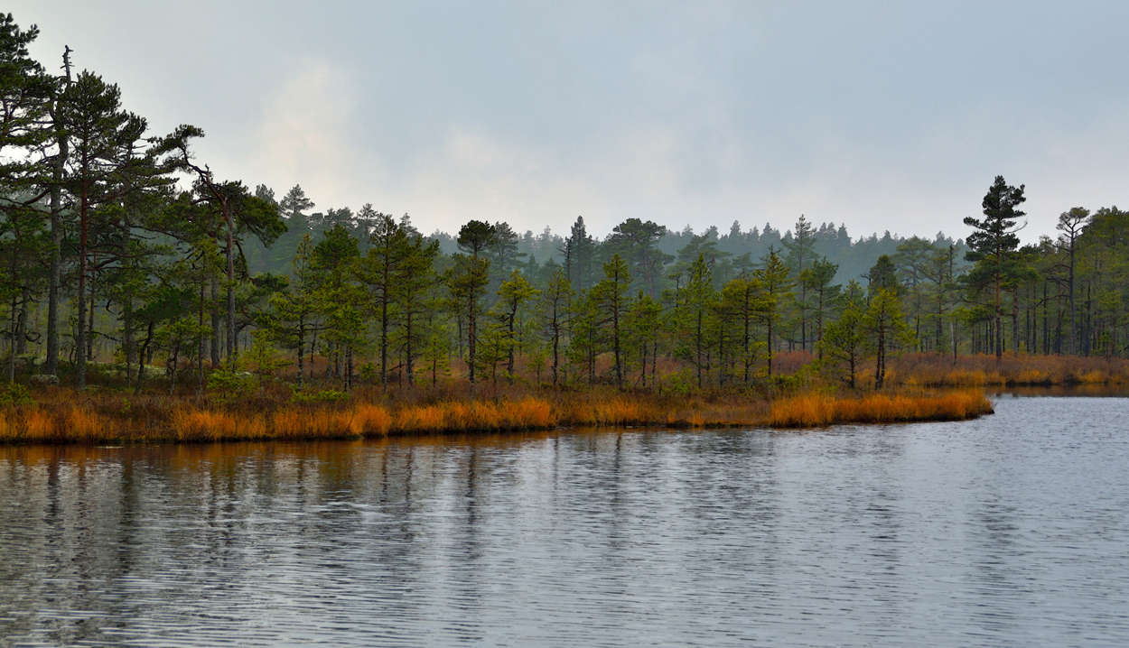 Lappland Västmanland