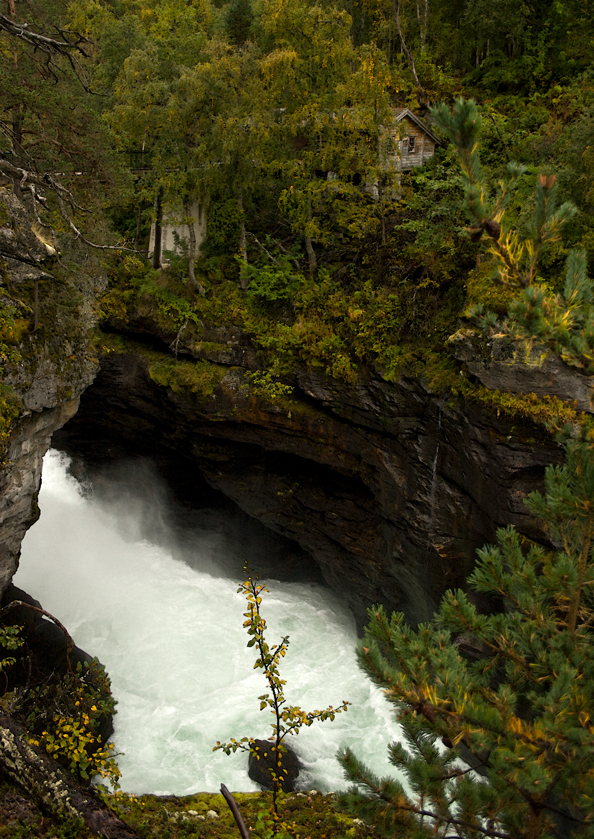 Hytten i skogen vid fallet