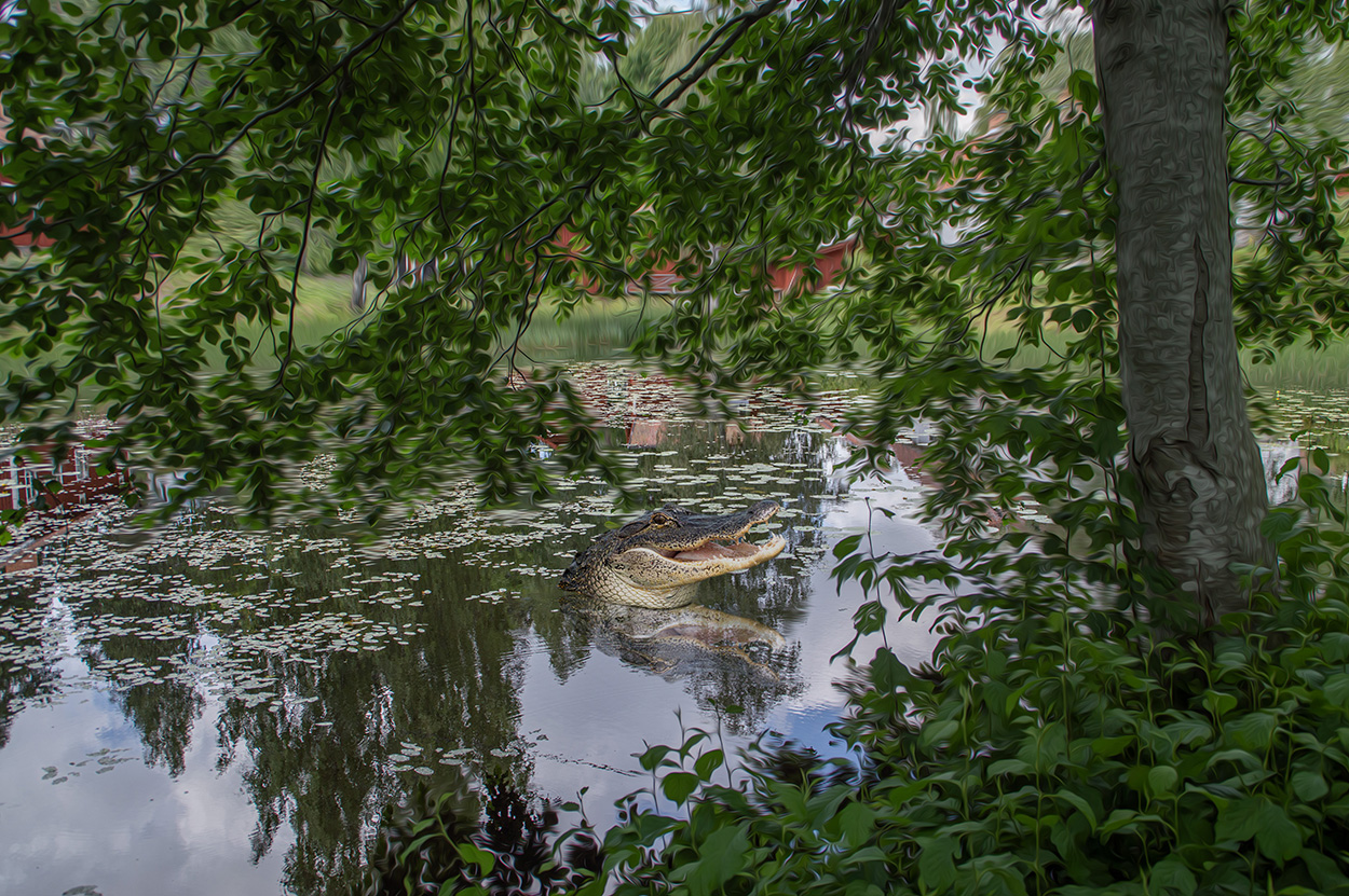 Vattenvarelse på villovägar