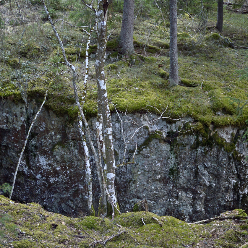 Stupet störtar stönande söderut