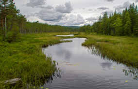 Finnmarkens frynliga figurer finnes ej på detta fotografi