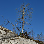 Brandrest rest på berg