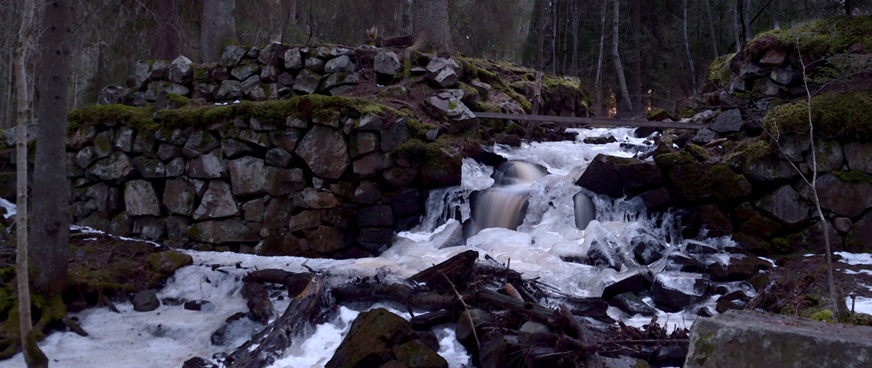 Bjurforsen stilla och vacker du är jag skall dig aldrig glömma