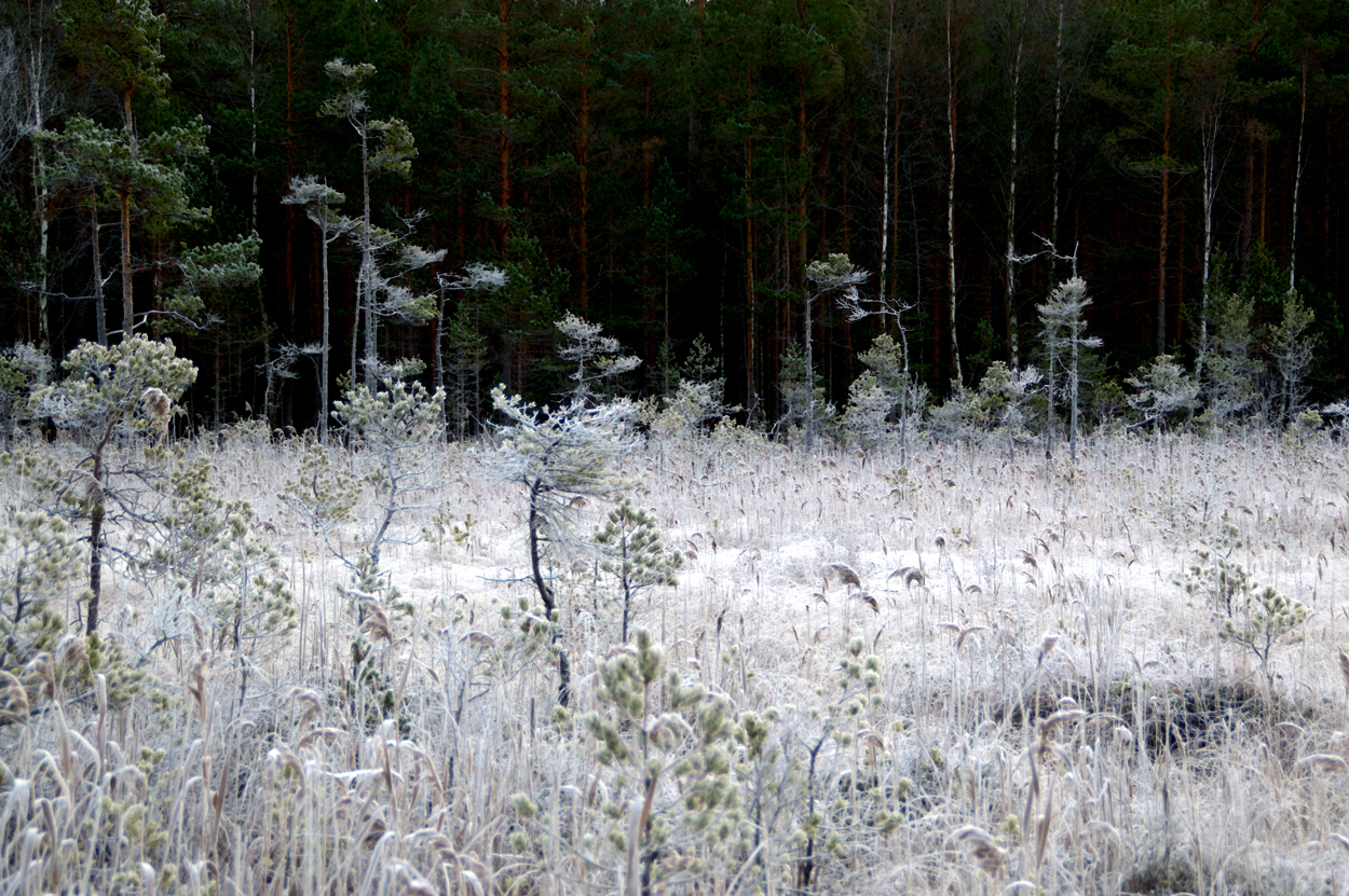 Myrscenen är satt aktörerna har barrat